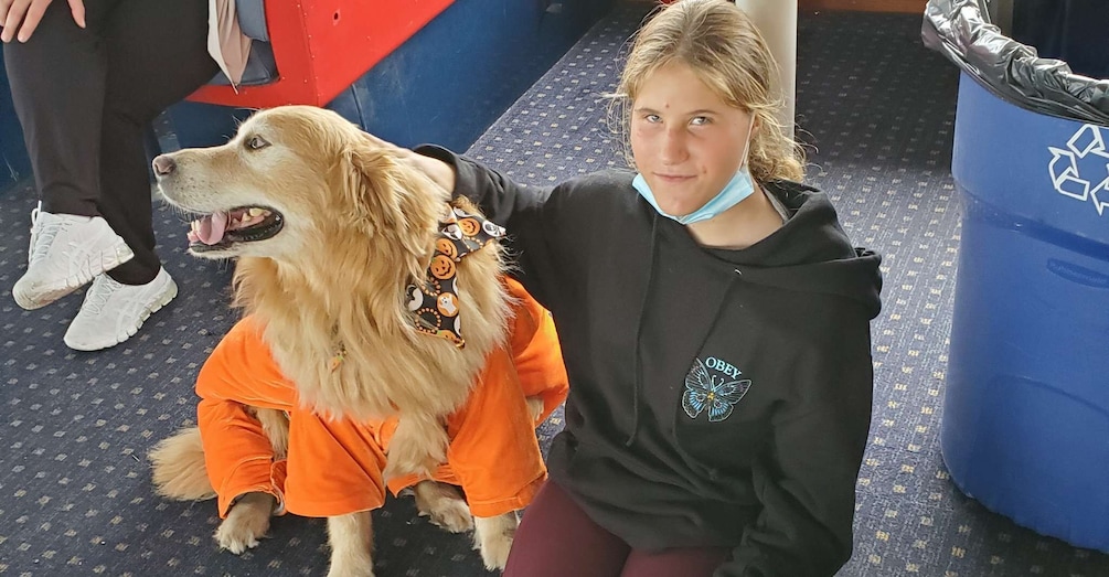 Picture 9 for Activity Boston: Scenic Harbor Cruise (Dog-Friendly)