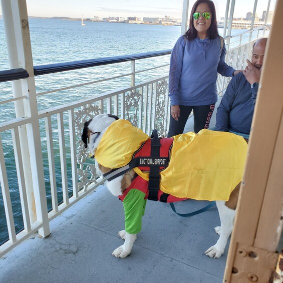 Picture 7 for Activity Boston: Scenic Harbor Cruise (Dog-Friendly)