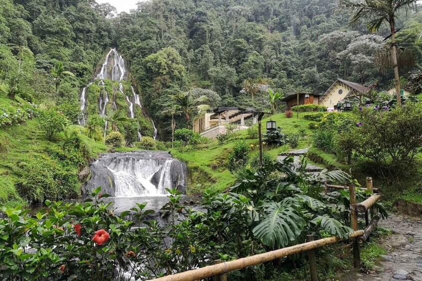 Picture 1 for Activity Santa Rosa de Cabal Thermal Hot Springs