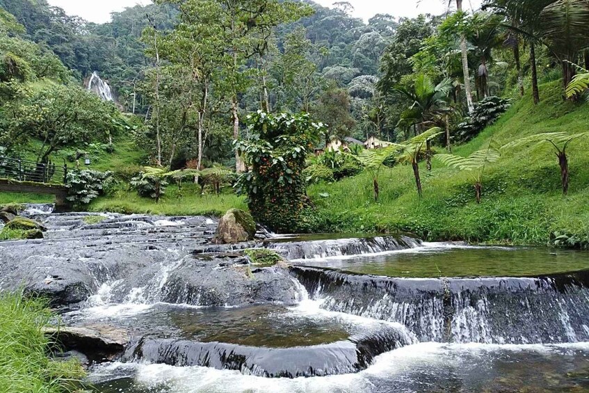 Picture 4 for Activity Santa Rosa de Cabal Thermal Hot Springs