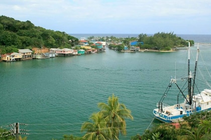 Roatan: 5-Hour Guided Buggy and Water Taxi Tour