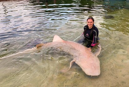 Reef Shark Encounter & Entry Pass (12+)