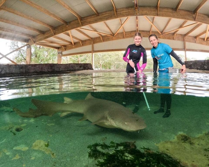 Picture 2 for Activity Anna Bay: Irukandji Entry Pass with Reef Shark Encounter