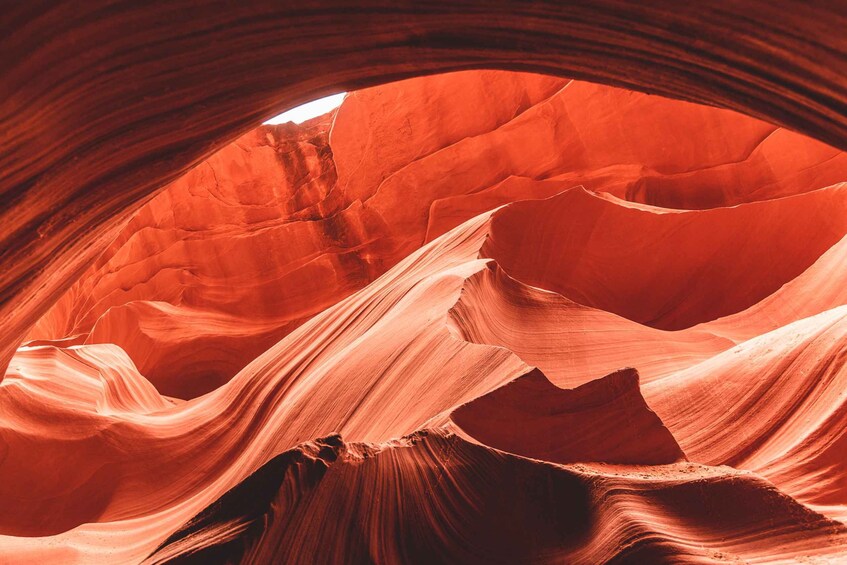 Picture 12 for Activity Las Vegas: Antelope Canyon, Horseshoe Bend Tour with Lunch