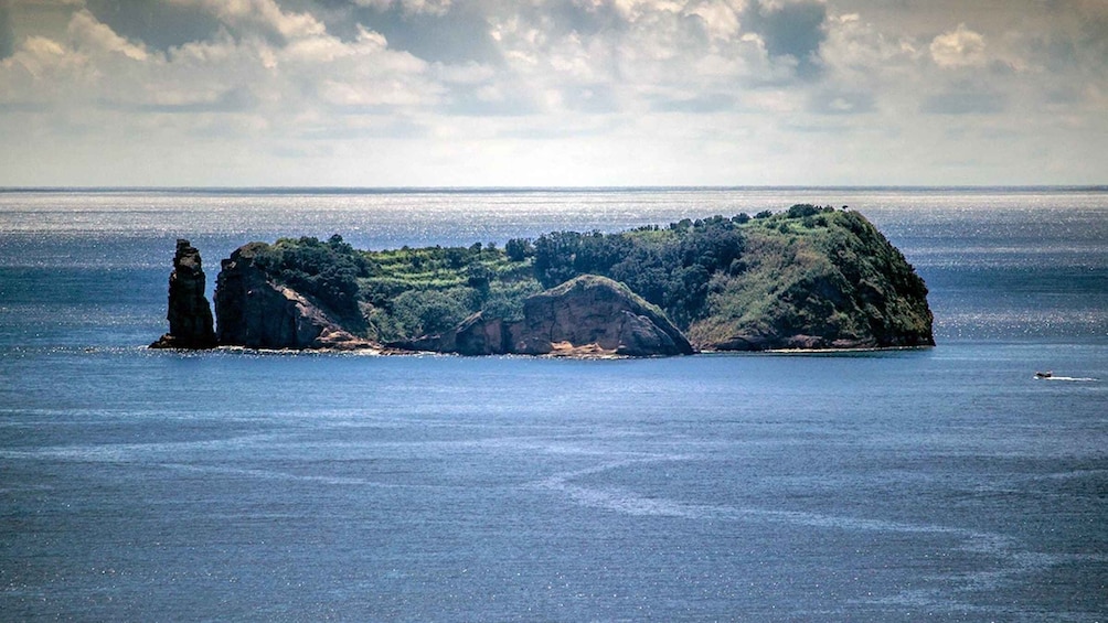 Picture 5 for Activity Inside Vila Franca Islet Nature Reserve Geo Tour