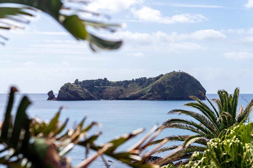 Picture 4 for Activity Inside Vila Franca Islet Nature Reserve Geo Tour