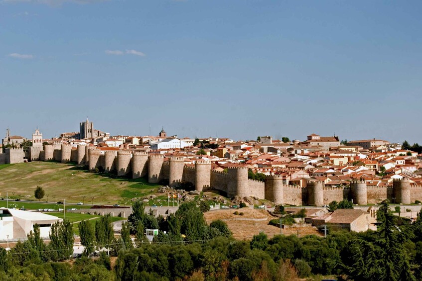 Picture 2 for Activity From Madrid: Avila and Salamanca Private Tour