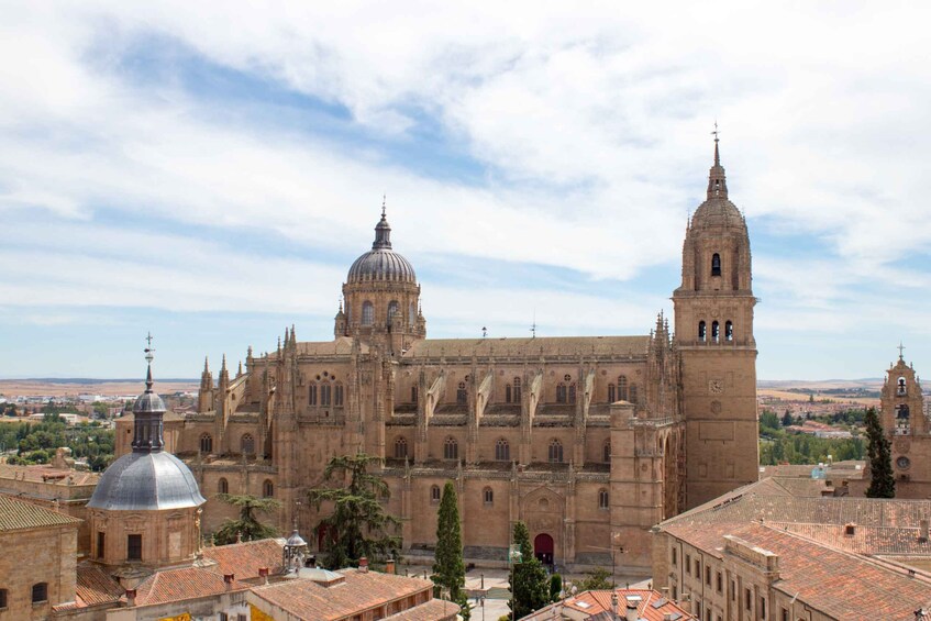 Picture 6 for Activity From Madrid: Avila and Salamanca Private Tour