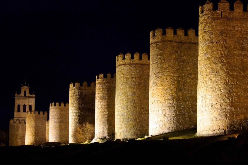 Picture 5 for Activity From Madrid: Avila and Salamanca Private Tour