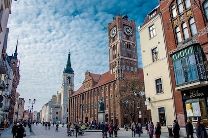 Fra Gdansk: Privat omvisning og spasertur i Torun