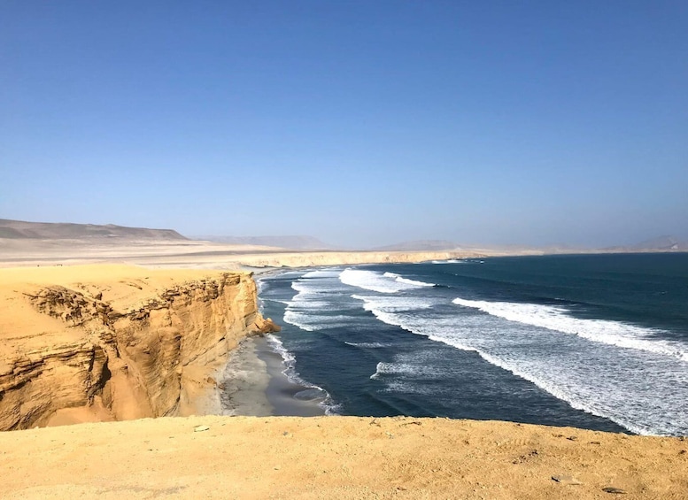 Picture 14 for Activity Ica: Ballestas Island & Paracas Reserve Private Tour