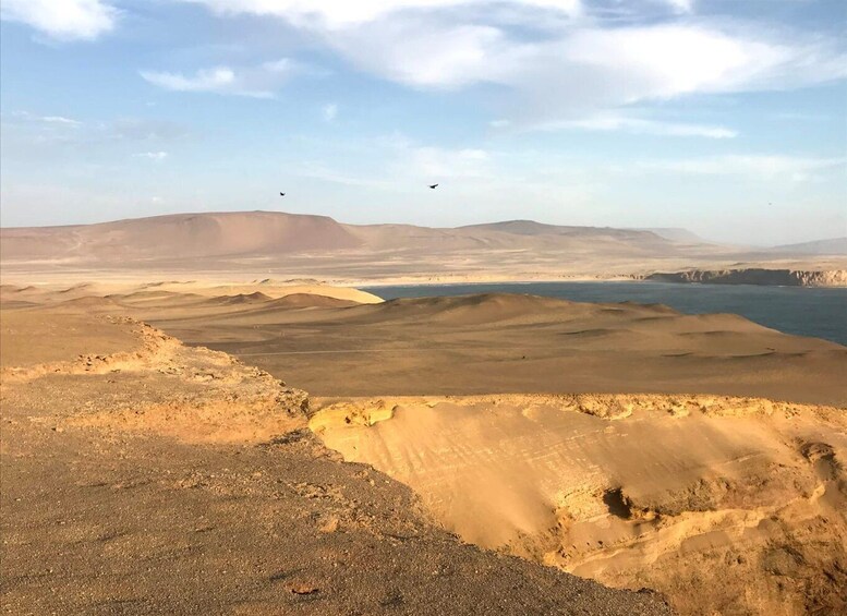 Picture 11 for Activity Ica: Ballestas Island & Paracas Reserve Private Tour