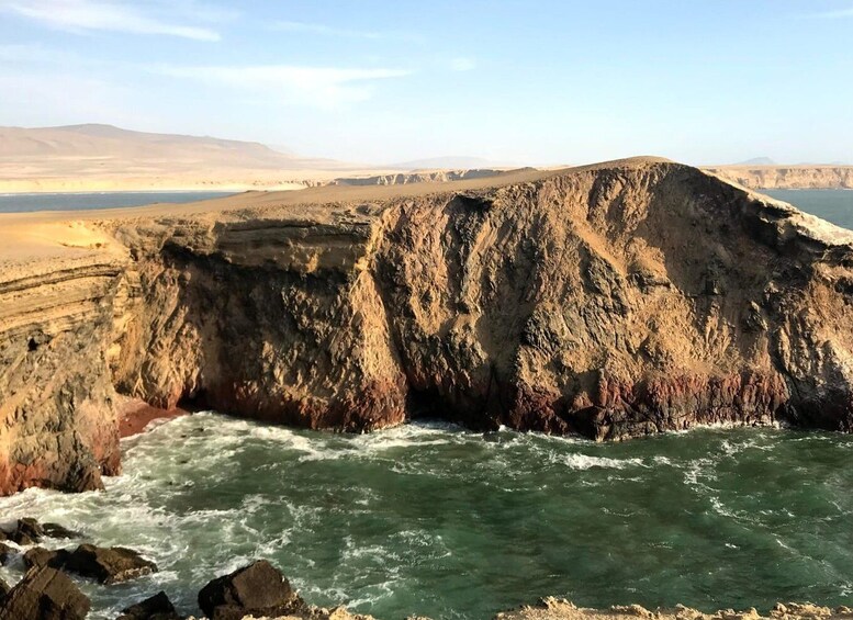 Picture 12 for Activity Ica: Ballestas Island & Paracas Reserve Private Tour