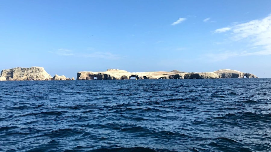 Ica: Ballestas Island & Paracas Reserve Private Tour