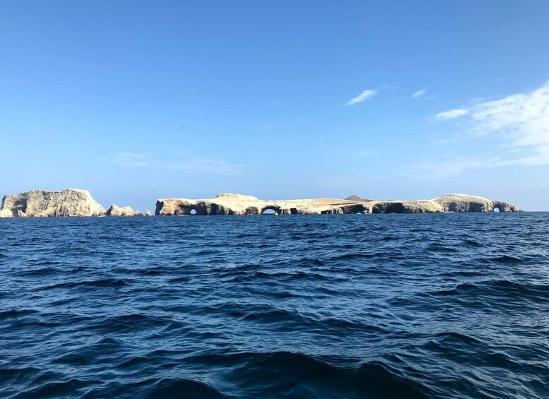 Ica: Ballestas Island & Paracas Reserve Private Tour