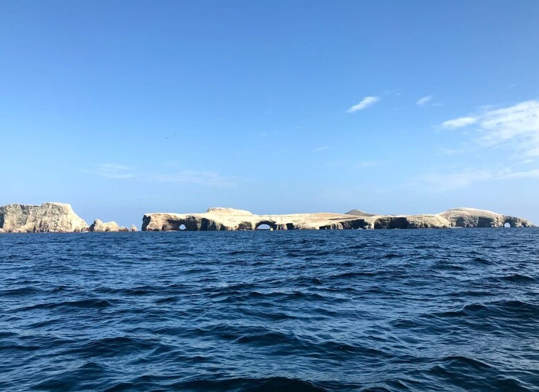 Ica: Ballestas Island & Paracas Reserve Private Tour