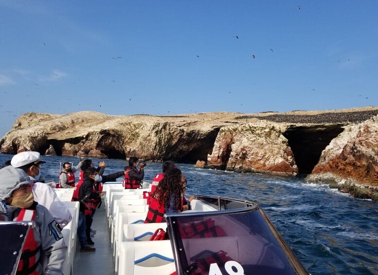 Picture 7 for Activity Ica: Ballestas Island & Paracas Reserve Private Tour