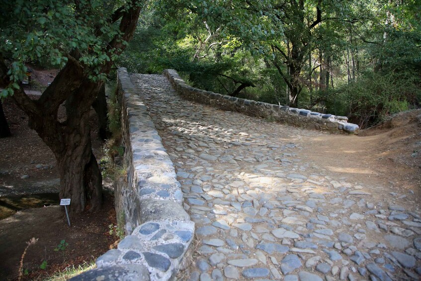 Picture 5 for Activity From Paphos: Troodos-Venetian Bridge-Millomeris Waterfall