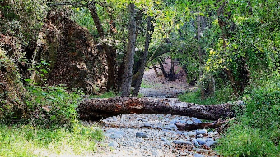 Paphos: Beauty, Nature and Charm of Troodos Mountains