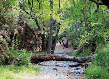 Paphos: belleza, naturaleza y encanto de las montañas de Troodos