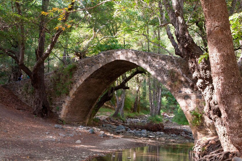 Picture 3 for Activity From Paphos: Troodos-Venetian Bridge-Millomeris Waterfall