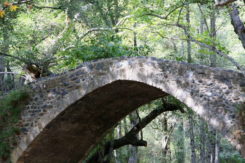 Picture 4 for Activity From Paphos: Troodos-Venetian Bridge-Millomeris Waterfall