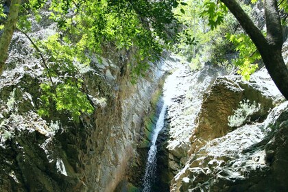 Depuis Paphos : Troodos-Pont vénitien-Cascade de Millomeris