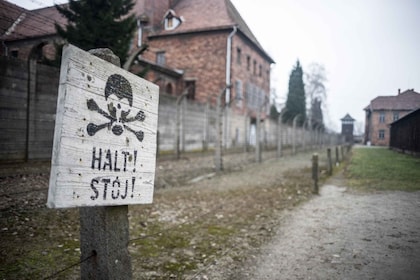 Lodz to Auschwitz-Birkenau Private Guided Tour by Car