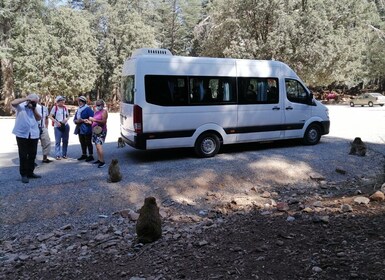 Desde Fez: excursión de un día al Atlas Medio con el Parque Nacional de Ifr...