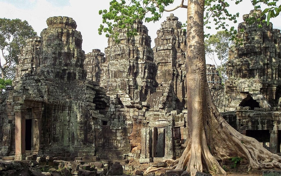 Picture 17 for Activity Siem Reap: Angkor Wat: Small-Group Sunrise Tour