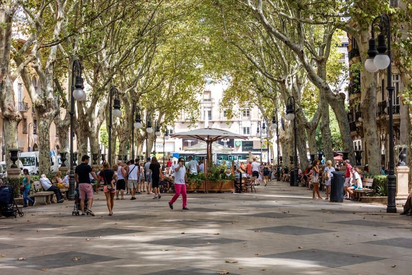 Walking Tour in Palma de Mallorca