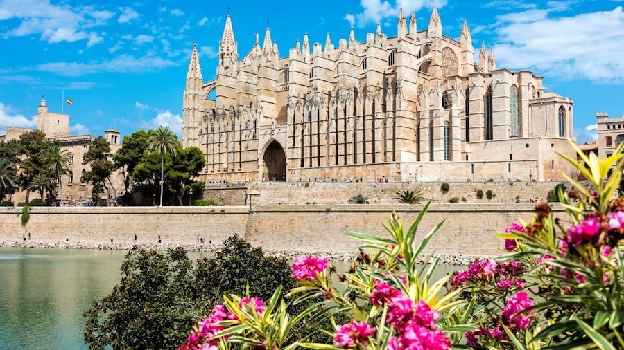 Walking Tour in Palma de Mallorca
