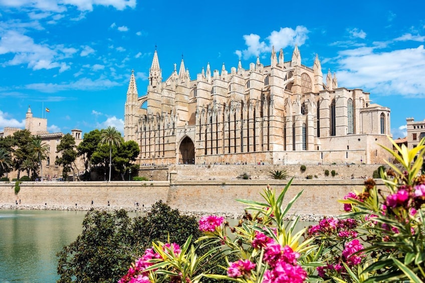 Walking Tour in Palma de Mallorca