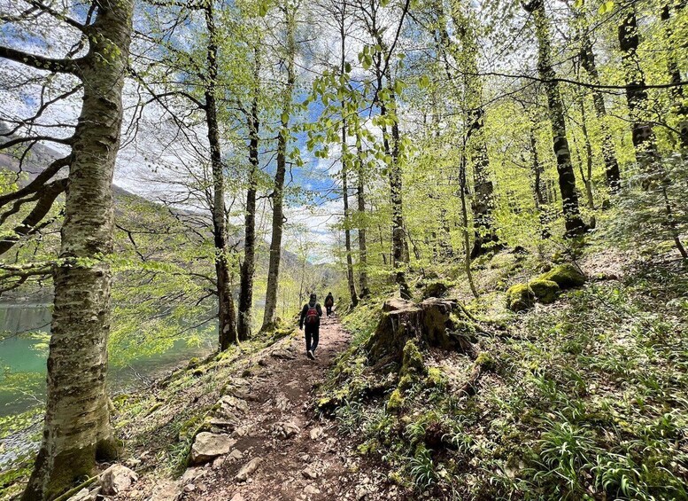 Picture 17 for Activity Podgorica: Durmitor National Park Day Trip via Tara Canyon