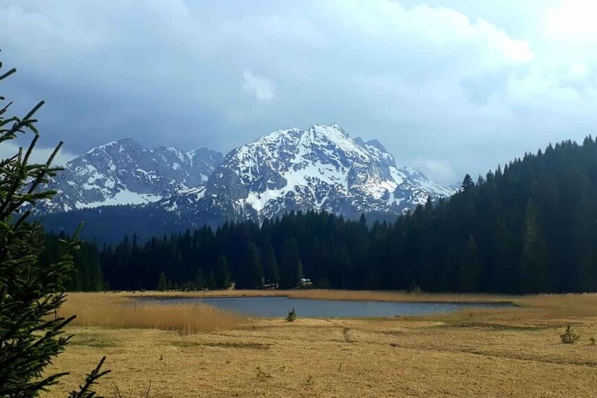 Picture 11 for Activity Podgorica: Durmitor National Park Day Trip via Tara Canyon