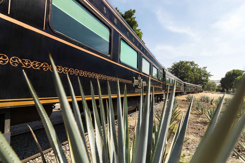 From Guadalajara: La Rojeña Distillery & Jose Cuervo Train