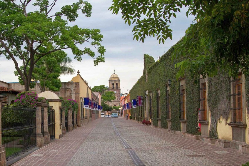 Picture 9 for Activity From Guadalajara: La Rojeña Distillery & Jose Cuervo Train