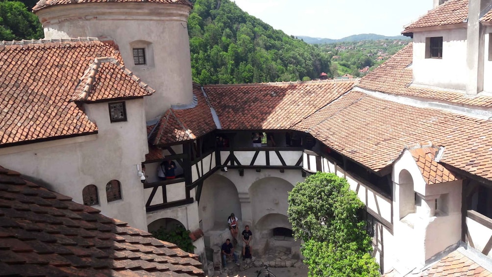 Picture 4 for Activity Bear Sanctuary-Bran Castle-Rasnov Fortress from Brasov