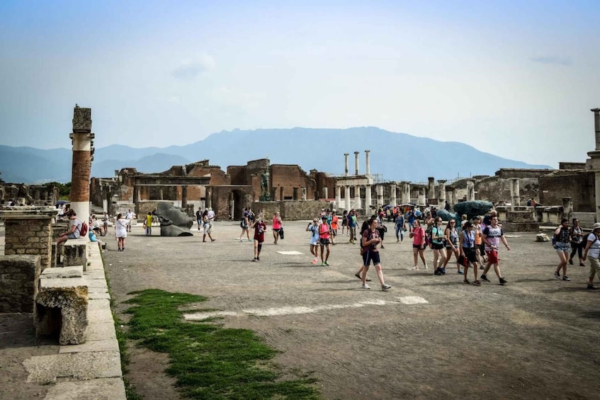 Picture 2 for Activity Pompeii: Private Guided Tour with an Archaeologist