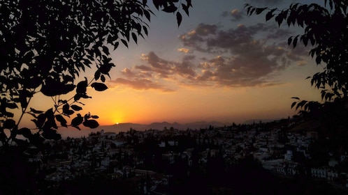 Granada: Excursión a pie por los enclaves naturales de la Alhambra