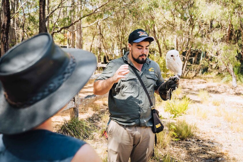 Picture 4 for Activity Margaret River: Birds of Prey Encounter and Forest Walk