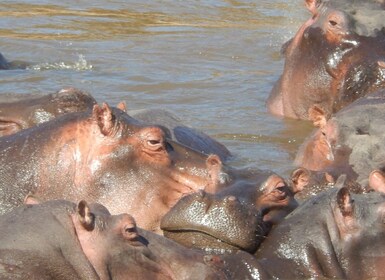 From Nairobi: Hell’s Gate National Park Day Trip