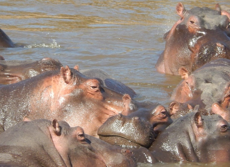 From Nairobi: Hell’s Gate National Park Day Trip