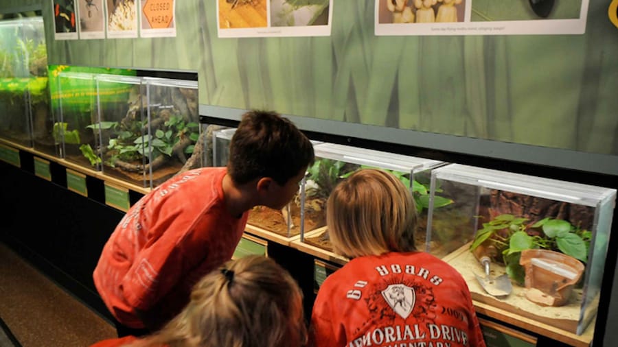 Houston Museum of Natural Science: Cockrell Butterfly Center