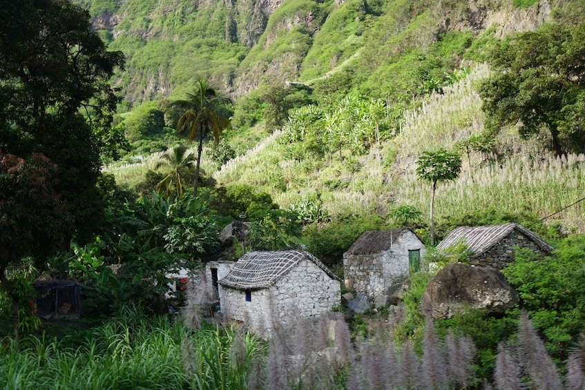 Picture 5 for Activity Santo Antão: Remote Mountain Villages Hike