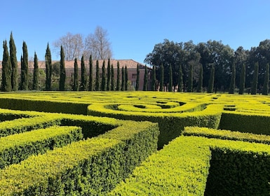 Venice: Explore Borges Labyrinth with Entry and Audio Guide