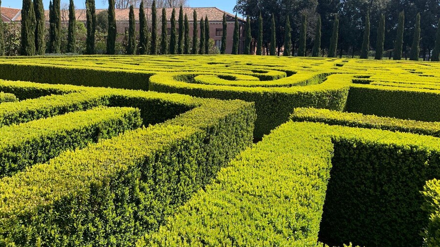 Venice: Borges Labyrinth Experience on San Giorgio Island
