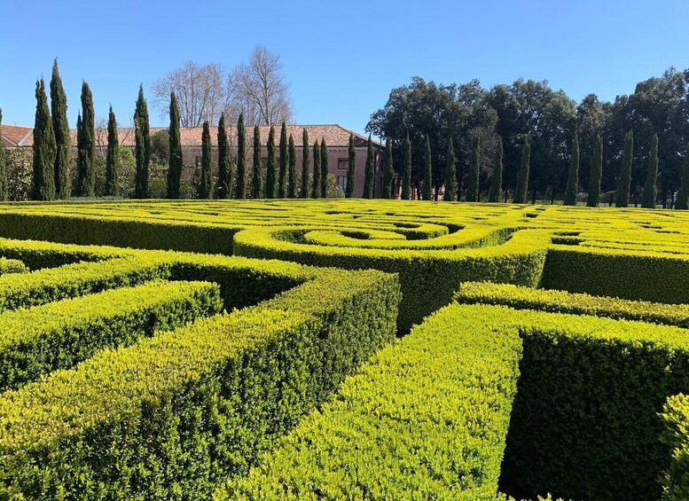 Venice: Borges Labyrinth Experience on San Giorgio Island