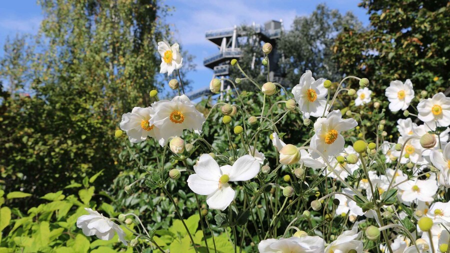 Tulln: DIE GARTEN TULLN Entry Ticket and Audio Guide