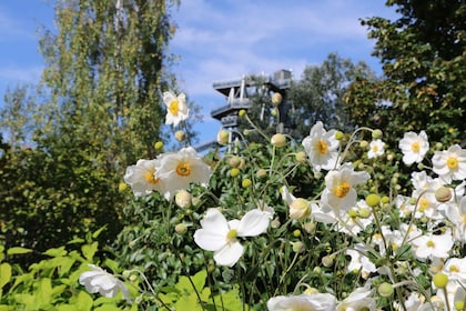 Tulln: DIE GARTEN TULLN Entry Ticket and Audio Guide